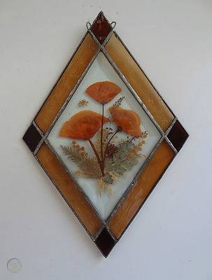 Vintage organic art real pressed 1 ed9e2a6c6af27d2f38d68569a0fc1b9a